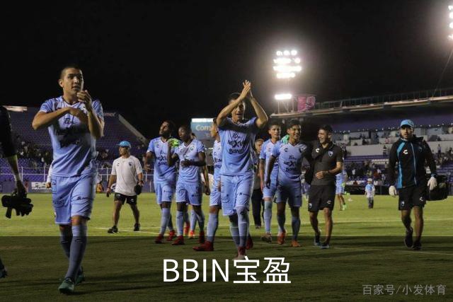 BBIN宝盈公司介绍